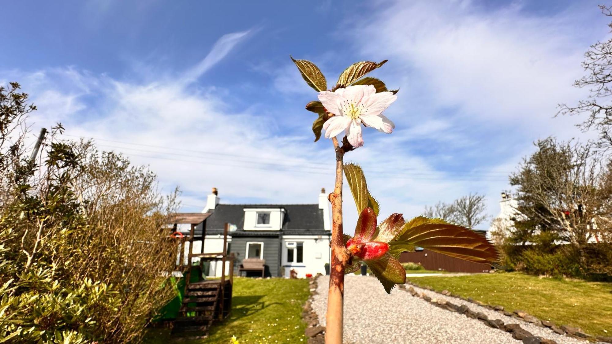 Carnmhor, Isle Of Skye - Stunning 242 Year Old Cottage On Its Own Sea Shore! Breakish Eksteriør bilde